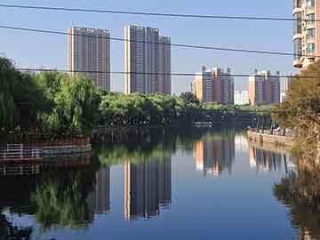 澳門精準(zhǔn)四肖期期準(zhǔn)免費(fèi)公式手機(jī)軟件，揭示背后的真相與風(fēng)險(xiǎn)，澳門精準(zhǔn)四肖期期準(zhǔn)免費(fèi)公式手機(jī)軟件揭秘，真相與風(fēng)險(xiǎn)曝光