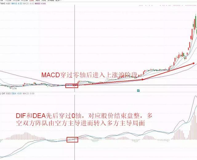 精華制藥股票，投資潛力與市場(chǎng)前景分析，精華制藥股票投資潛力與市場(chǎng)前景深度剖析