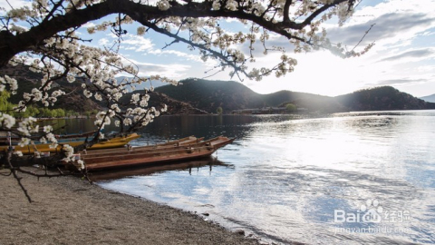 瀘沽湖旅游攻略，探索神秘高原湖泊的美麗與寧靜，瀘沽湖旅游攻略，探尋高原湖泊的神秘美麗與寧靜之旅