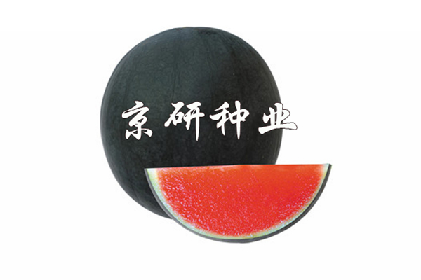 三期內(nèi)必出特一肖，揭秘彩票秘密，預(yù)測準(zhǔn)確率高達(dá)百分之百的秘訣，揭秘彩票秘密，三期必出特一肖，百分百預(yù)測準(zhǔn)確率揭秘！