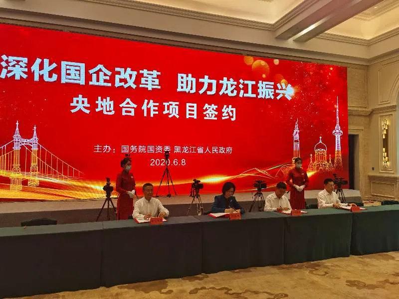股票600開頭是什么板塊？全面解析中國股市中的特殊板塊，揭秘股票600開頭板塊，中國股市中的特殊領(lǐng)域全面解讀