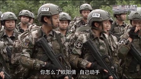 特種兵之火鳳凰全集免費(fèi)觀看，一網(wǎng)打盡所有精彩瞬間，特種兵之火鳳凰全集在線免費(fèi)觀看，精彩瞬間一網(wǎng)打盡