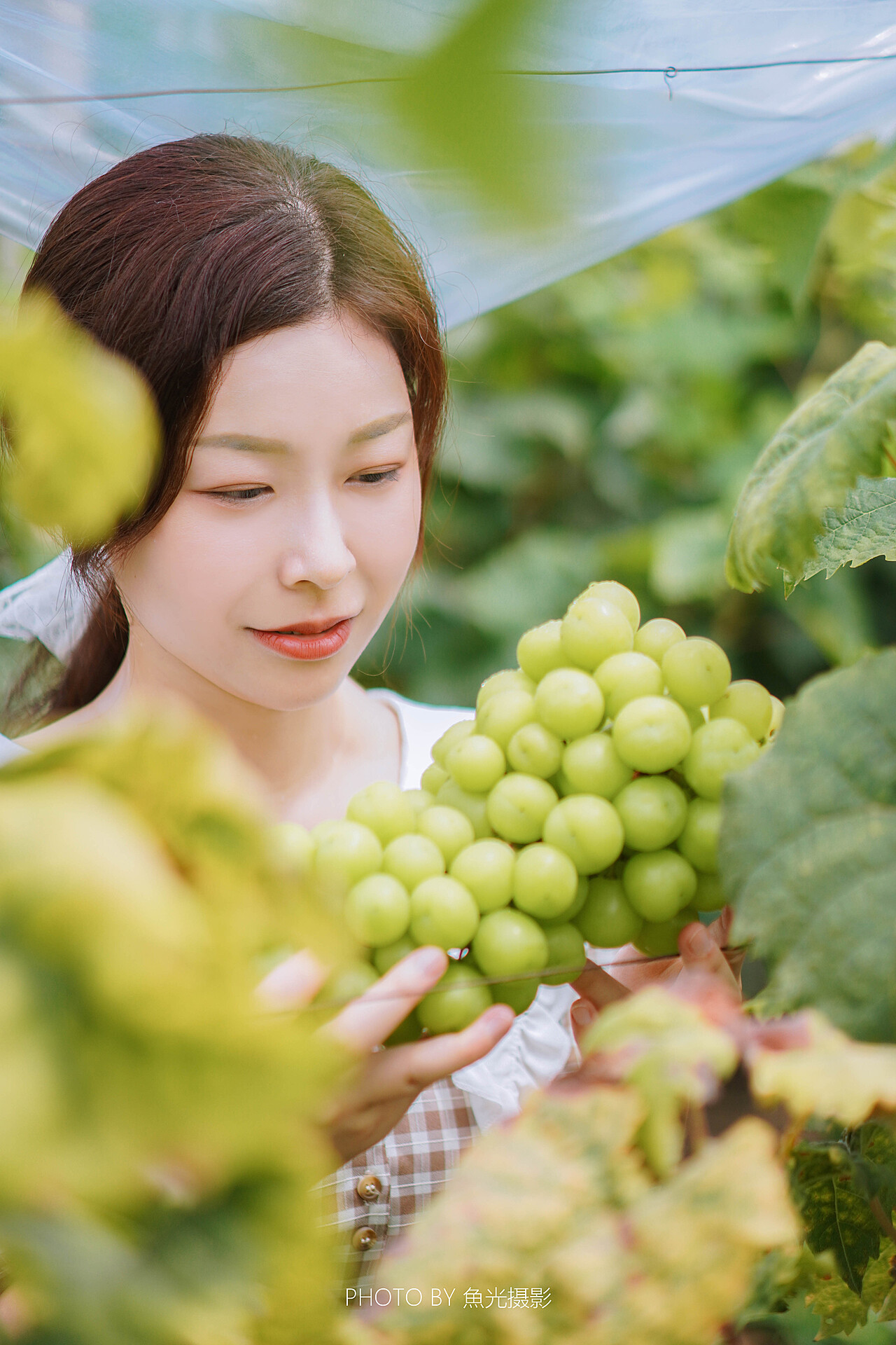 葡萄成熟時電影在線觀看粵語，重溫經(jīng)典，感受粵語魅力，重溫經(jīng)典，粵語電影葡萄成熟時在線觀看