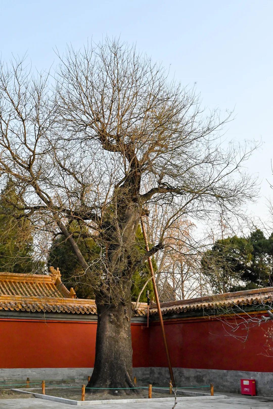 北海必去8個景點——探索美麗的海濱城市，北海必游八大景點——海濱城市的魅力探索