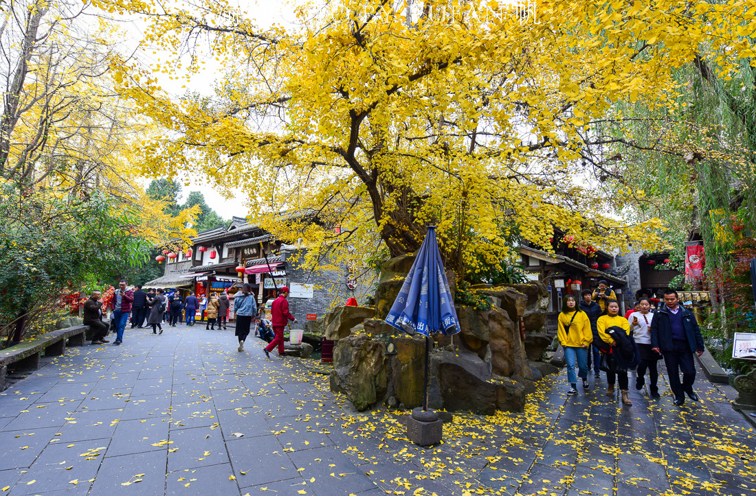 成都十二月份適合旅游嗎？探尋最佳冬季旅游體驗，成都十二月冬季旅游指南，探尋最佳旅游體驗