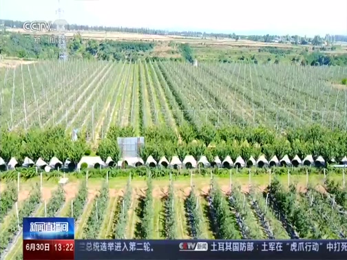 揭秘上海今日新聞熱點，王中王鐵算盤背后的故事，揭秘上海新聞熱點，王中王背后的故事與鐵算盤傳奇