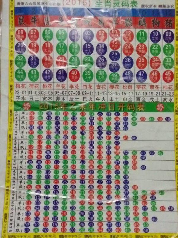 揭秘2025年十二生肖波色表，洞悉未來運勢，洞悉自身命運，揭秘十二生肖波色表，洞悉未來運勢與命運走向（2025版）