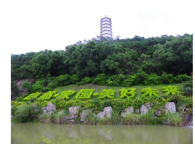 深圳好玩又免費(fèi)的景點(diǎn)大全——探索這座城市的隱藏寶藏，深圳隱藏寶藏，免費(fèi)景點(diǎn)大全探索之旅