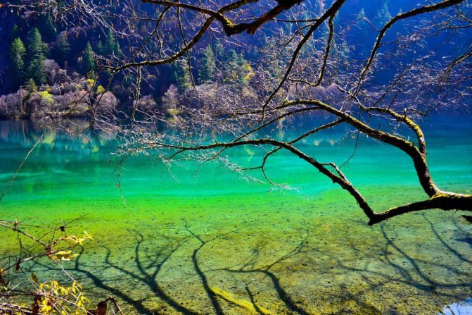 九寨溝的十大美景，自然之美的極致展現(xiàn)，九寨溝的十大絕美景色，自然之美的極致展現(xiàn)