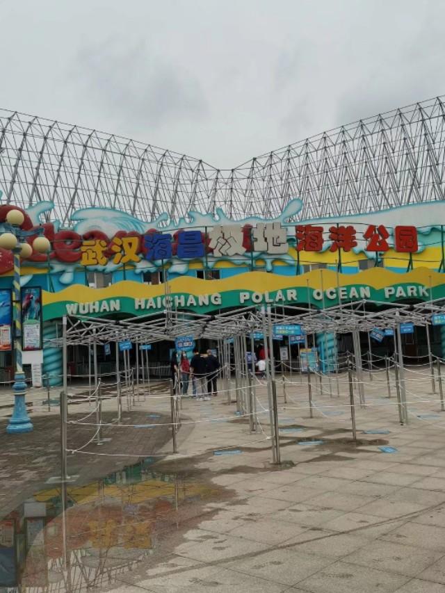 武漢極地海洋世界攻略，探索奇妙的海洋之旅，武漢極地海洋世界攻略，奇妙海洋之旅探索指南
