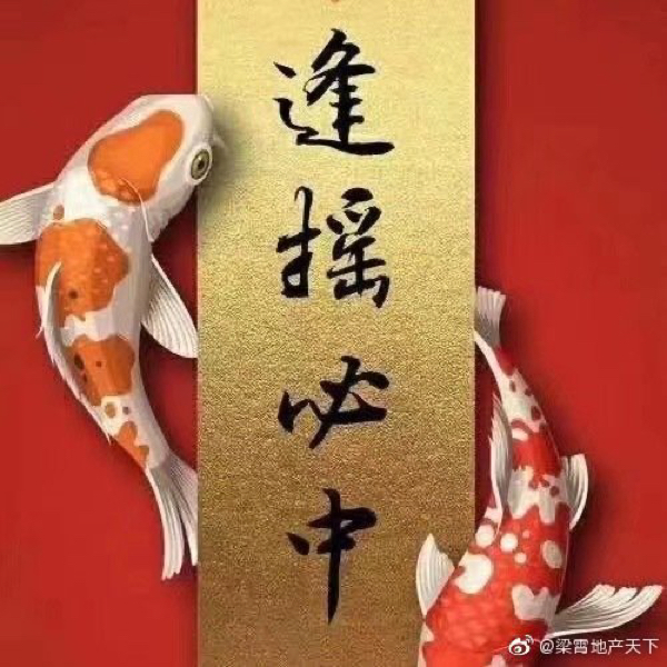 揭秘彩票背后的秘密，一肖不中的倍率逢買必中圖片真相揭秘，揭秘彩票背后的秘密，一肖不中的倍率真相與逢買必中圖片探秘