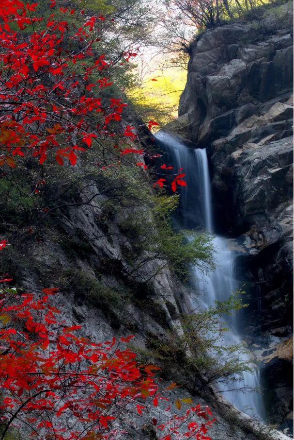 chenhaoqian 第4頁