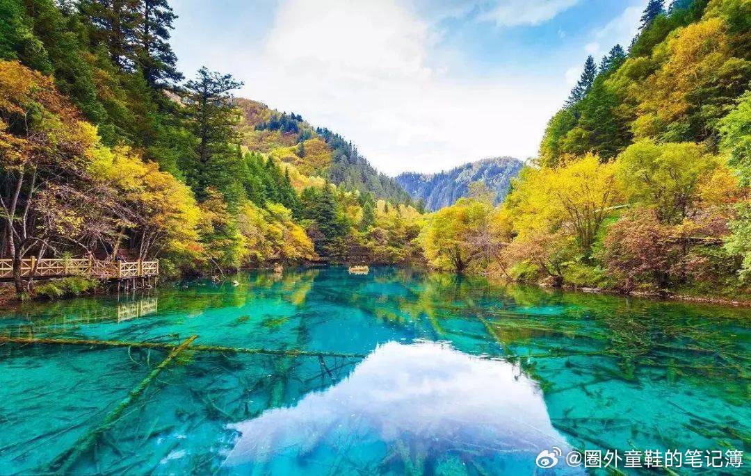 揭秘九寨溝旅游中的幾大騙局，讓你明智出游，避免陷阱！，九寨溝旅游防騙指南，揭秘騙局，明智出游！
