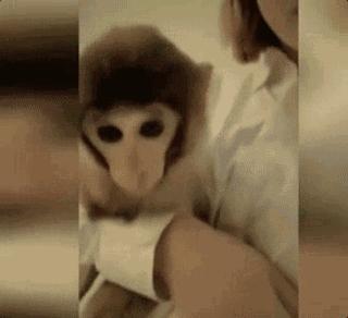 劇獵捕電視劇情介紹，緊張刺激的劇情引領(lǐng)觀眾探秘懸疑世界，獵捕電視劇，緊張刺激的劇情探秘懸疑世界