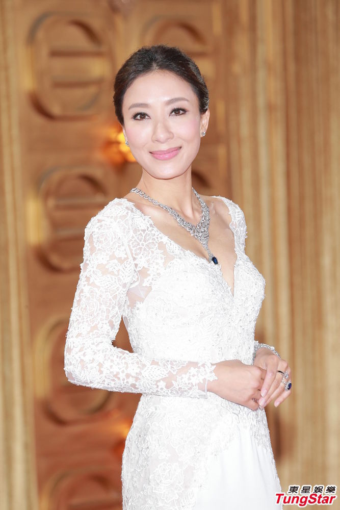 香港TVB女星，璀璨閃耀的影視之星，香港TVB女星，影視界的璀璨之星