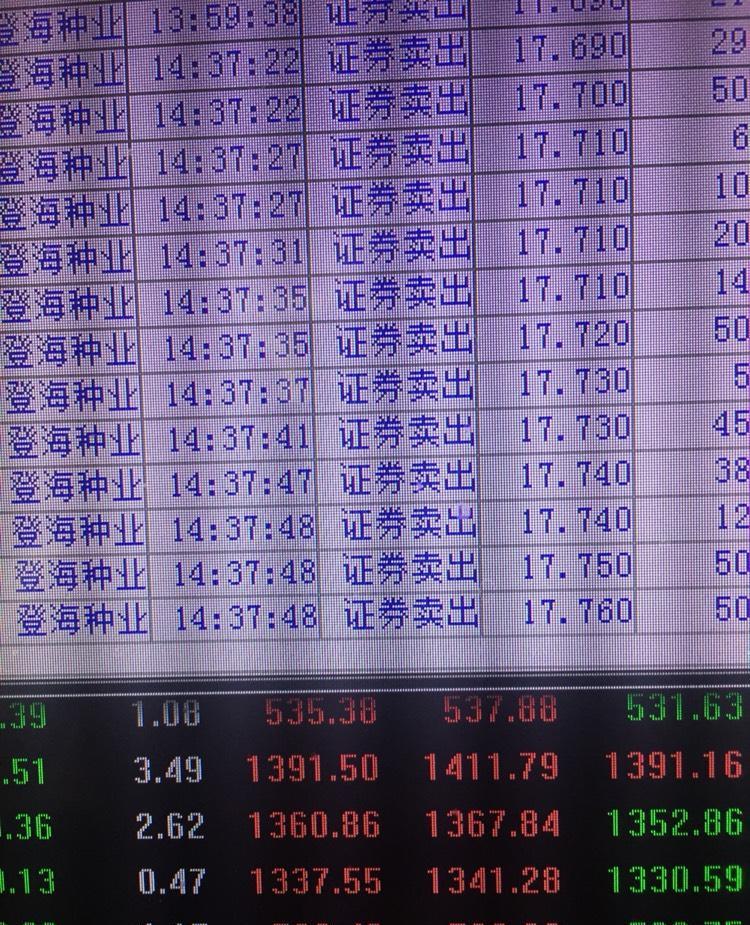 登海種業(yè)股吧——探討未來農(nóng)業(yè)領域的潛力股，登海種業(yè)股吧，農(nóng)業(yè)領域潛力股的未來探討
