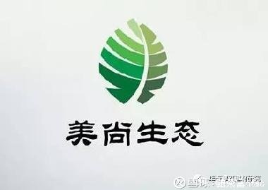 探索美尚生態(tài)股吧的獨(dú)特魅力，解碼生態(tài)股市的新機(jī)遇與挑戰(zhàn)（關(guān)鍵詞，300495美尚生態(tài)股吧），解碼美尚生態(tài)股吧的獨(dú)特魅力，股市新機(jī)遇與挑戰(zhàn)的探索（關(guān)鍵詞，300495）