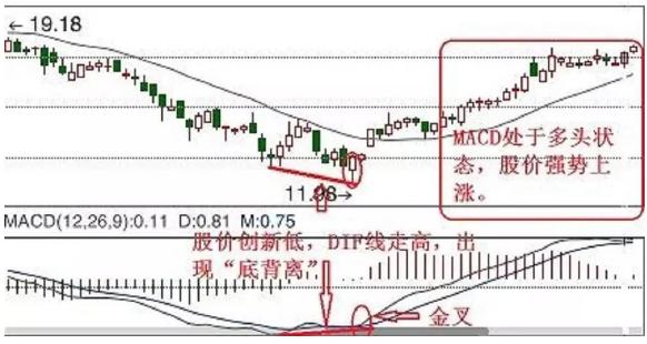 深入了解300212關(guān)鍵詞，定義、應(yīng)用與SEO優(yōu)化策略，揭秘關(guān)鍵詞300212，定義、應(yīng)用與SEO優(yōu)化攻略