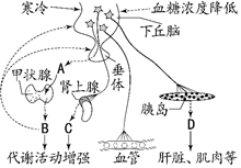 第533頁