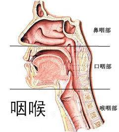 嗓子咽唾沫疼，原因解析與應(yīng)對(duì)策略，嗓子咽唾沫疼痛，原因解析及應(yīng)對(duì)方法
