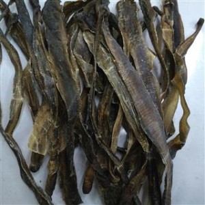 地龍的功效與作用，深入解析其藥用價(jià)值與應(yīng)用領(lǐng)域，地龍的藥用價(jià)值與應(yīng)用領(lǐng)域深度解析，功效與作用詳解