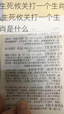 高手殺肖統(tǒng)計轉(zhuǎn)帖，深度解析與SEO優(yōu)化策略，高手揭秘，肖統(tǒng)計轉(zhuǎn)帖深度解析與SEO優(yōu)化策略指南