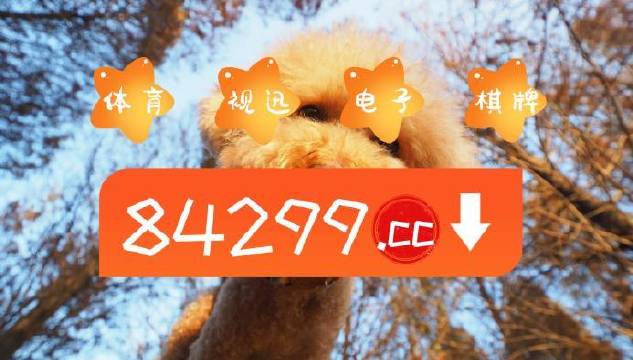 白小姐網(wǎng)一肖一碼