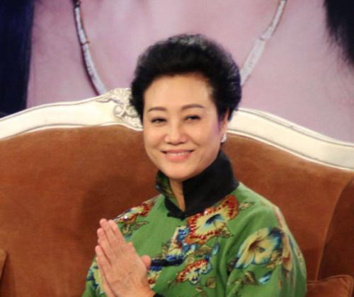 演員王麗云的個人資料，深度探索一位優(yōu)秀演員的生涯軌跡，王麗云，演藝生涯的深度探索與成長軌跡
