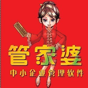 正版管家婆軟件，提升企業(yè)管理效率的必備之選，正版管家婆軟件，企業(yè)管理效率的必備利器