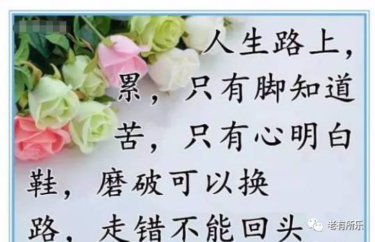 一句真言，揭示SEO的核心秘密，揭秘SEO核心秘密，一句話道出真相
