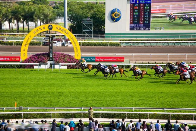 港澳賽馬會——澳門版深度解析，澳門版港澳賽馬會深度解析