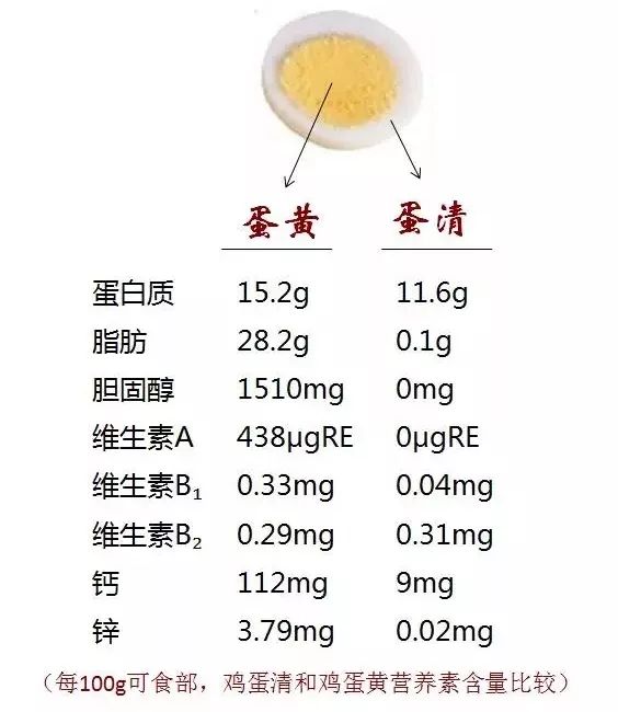 雞蛋的營(yíng)養(yǎng)價(jià)值——探索雞蛋對(duì)人體健康的奧秘，雞蛋營(yíng)養(yǎng)價(jià)值揭秘，探索雞蛋對(duì)人體健康的深遠(yuǎn)影響