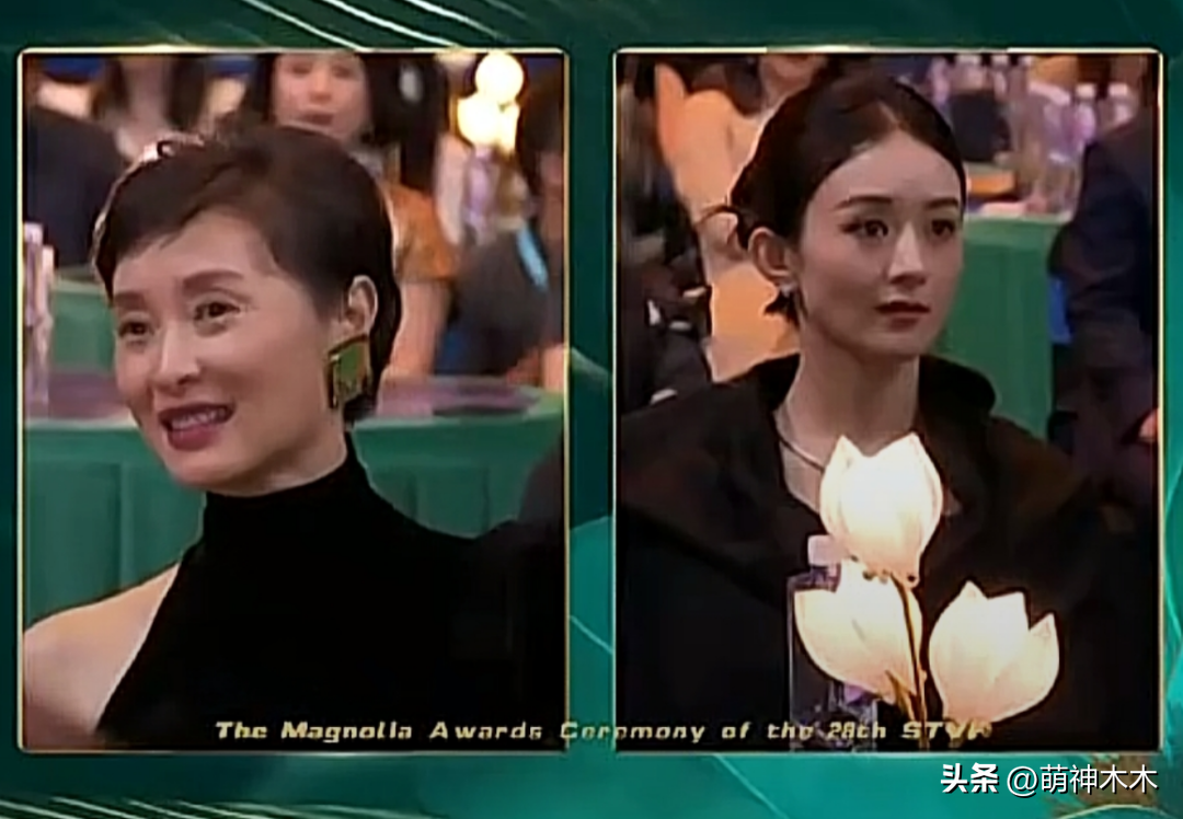女演員吳越演過的電視劇，深度解析其演藝生涯與作品魅力，吳越演藝生涯深度解析，作品魅力與電視劇之旅