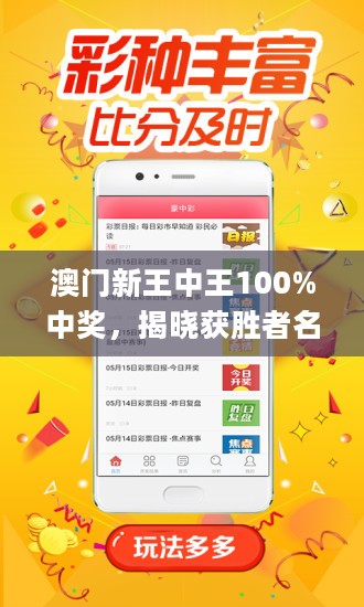 新澳門王中王游戲，揭秘期期中秘密，探索贏取之道，揭秘新澳門王中王游戲期期中策略，探索贏取之道