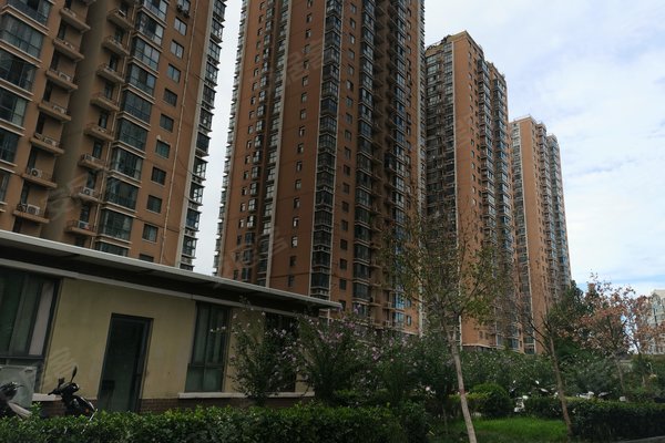 六合之家大小中特，深度解析與SEO優(yōu)化策略，六合之家深度解析與SEO優(yōu)化策略指南