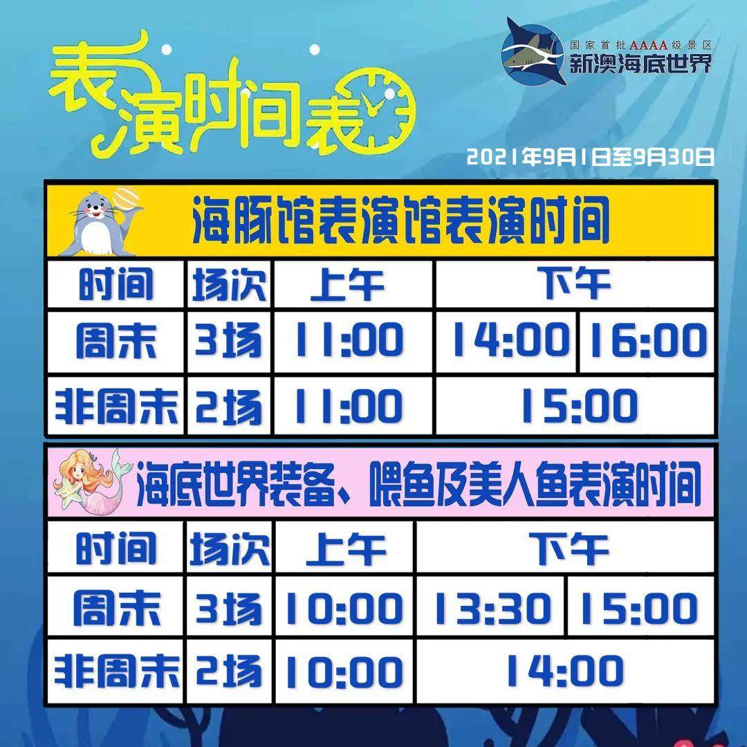 新澳天天開好彩資料大全——探索彩票世界的奧秘與魅力，新澳天天開好彩資料大全，揭秘彩票世界的魅力與奧秘