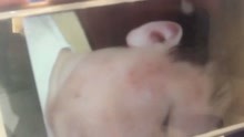如何根治臉上反復(fù)長(zhǎng)痘痘的困擾，根治臉上反復(fù)長(zhǎng)痘的有效方法