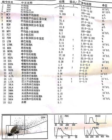 全面解析與理解