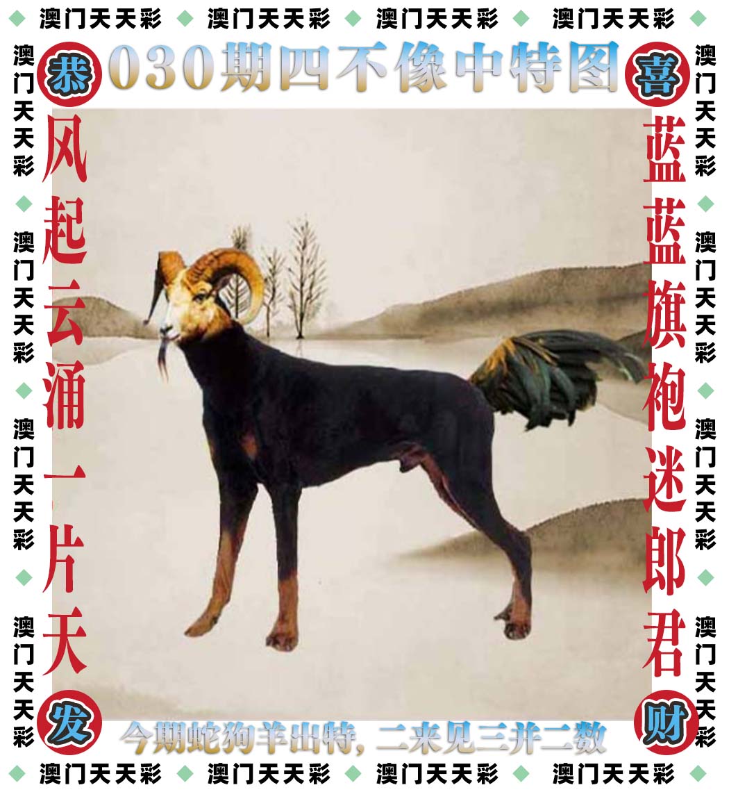 四不像玄機圖，神秘符號背后的秘密與SEO優(yōu)化策略，神秘符號背后的秘密與SEO優(yōu)化策略，四不像玄機圖揭秘