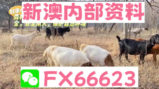 今天新澳出什么生肖——揭秘生肖運勢與預(yù)測，揭秘今日新澳生肖運勢與預(yù)測報告