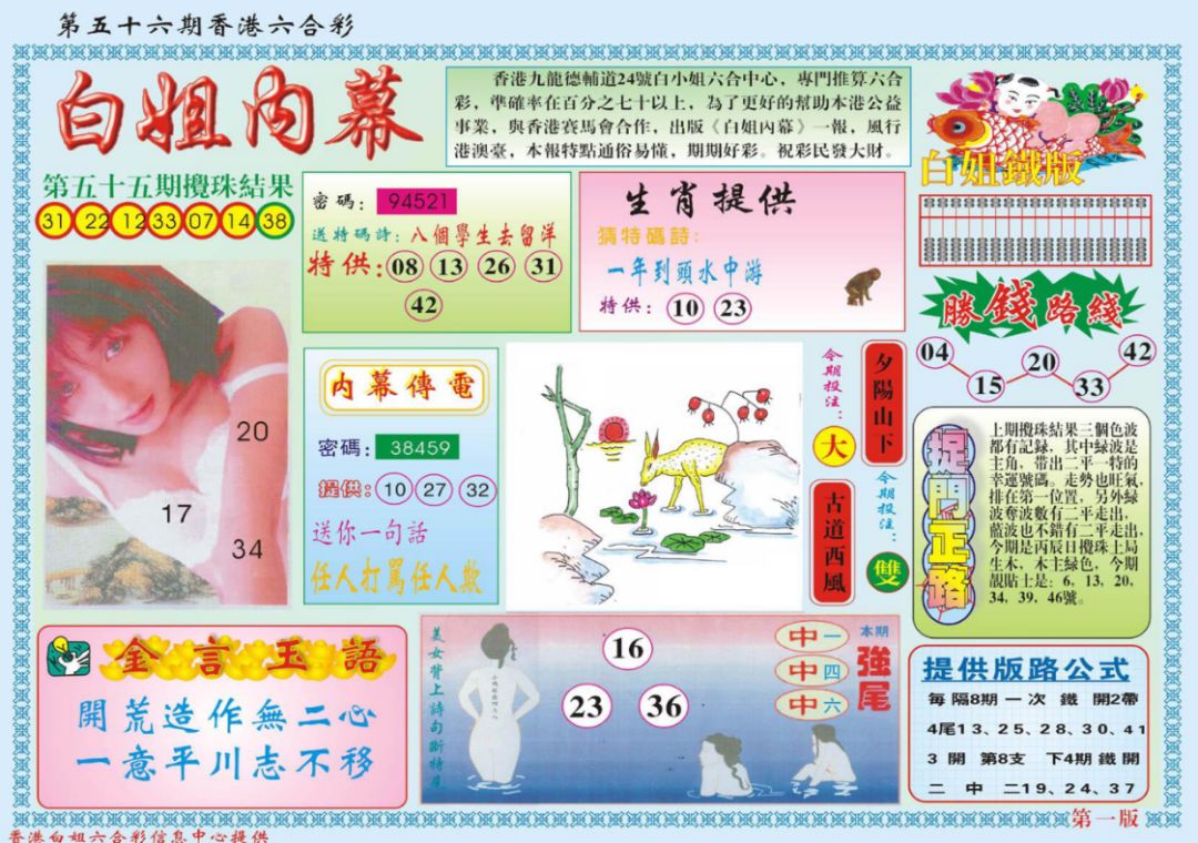 六合兩肖四碼詳解與SEO優(yōu)化策略，六合兩肖四碼詳解與SEO優(yōu)化策略指南