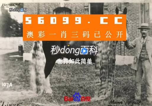 王中王心水高手資料論壇，探索SEO的寶藏之地，王中王心水高手論壇，揭秘SEO寶藏的秘密