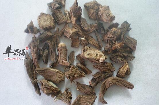 續(xù)斷，功效與作用解析，續(xù)斷，功效與作用深度解析