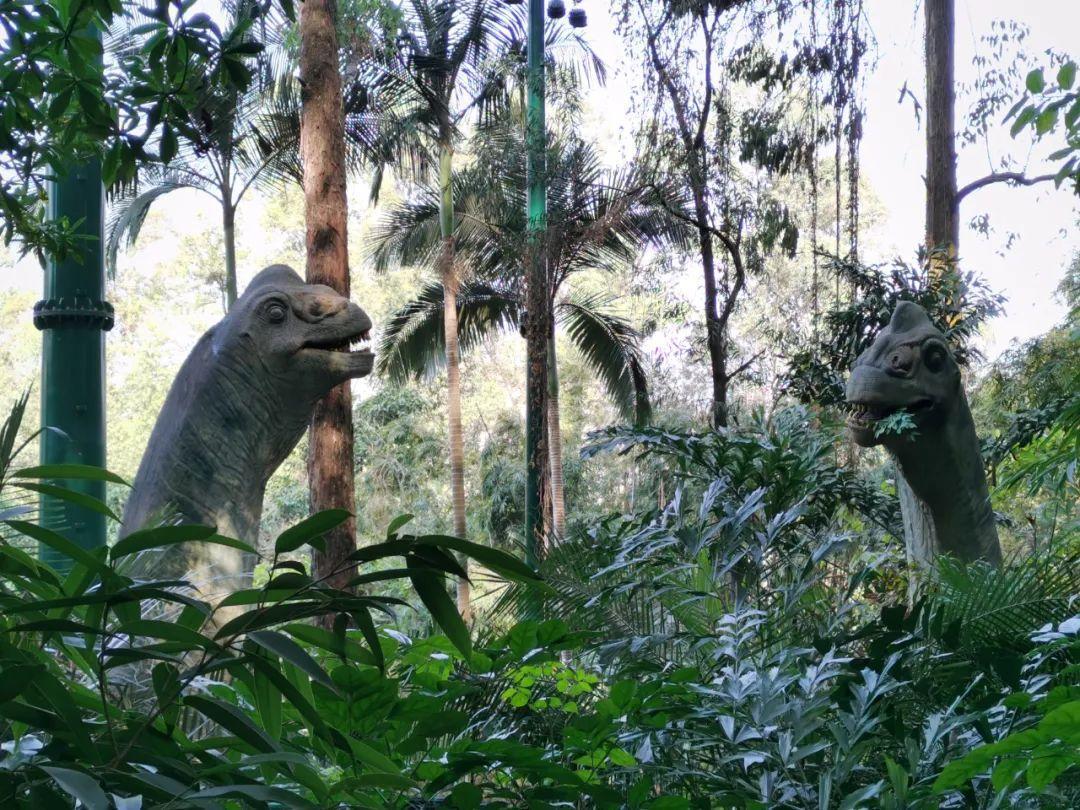廣州長隆野生動物世界，探索奇妙的動物王國，廣州長隆野生動物世界，奇妙動物王國的探索之旅