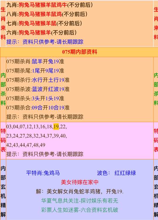 揭秘精準(zhǔn)殺肖資料，探尋背后的真相與秘密，揭秘精準(zhǔn)殺肖資料背后的真相與秘密探究