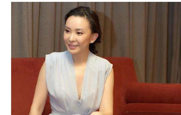 張嘉譯前妻劉威葳，人生經(jīng)歷與影響深度解析，張嘉譯前妻劉威葳，人生軌跡與影響深度探討