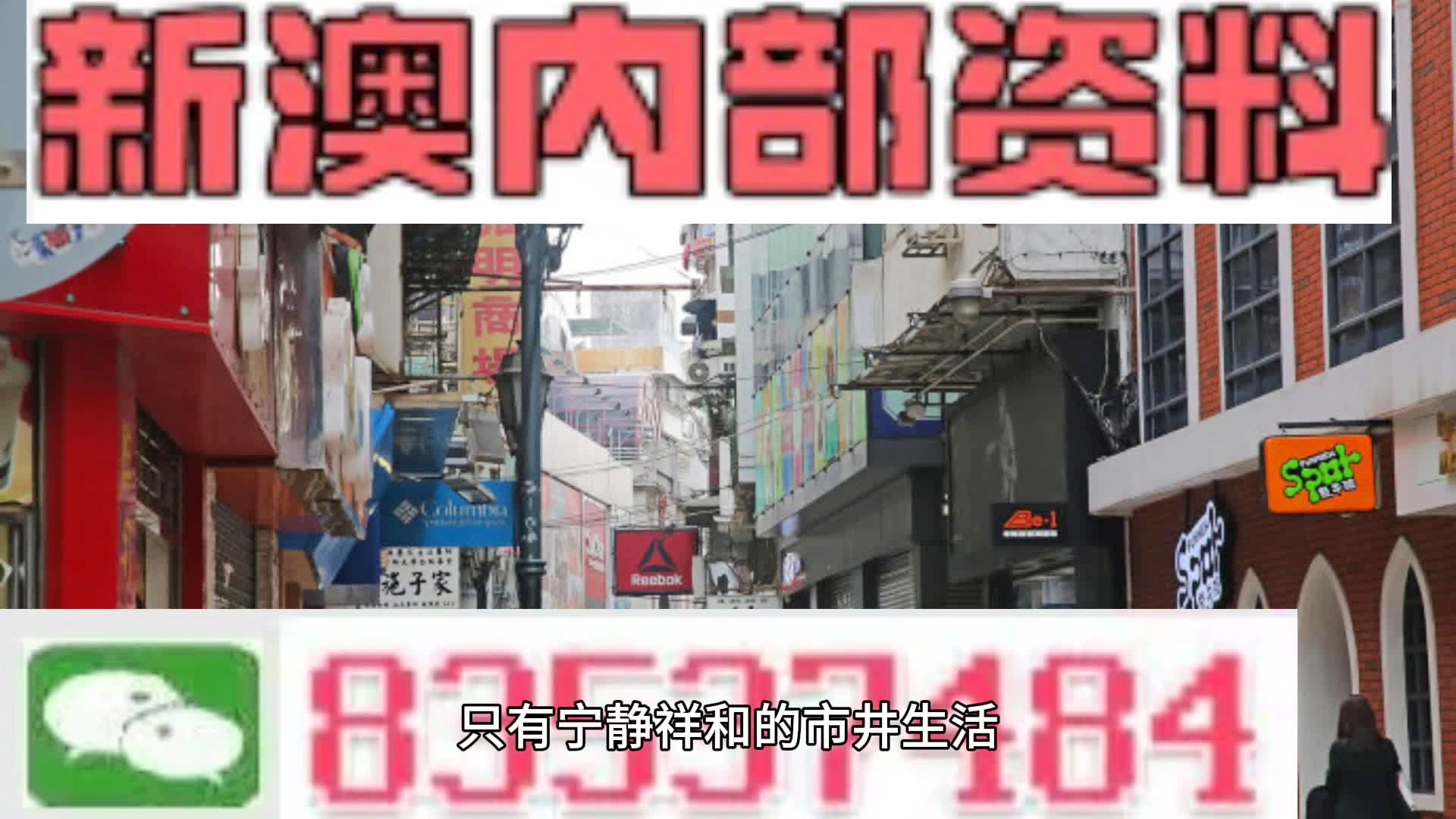 新澳門(mén)內(nèi)部資料免費(fèi)大全——探索與揭秘，澳門(mén)內(nèi)部資料揭秘，探索全新世界，免費(fèi)大全呈現(xiàn)！