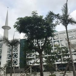 深圳周邊旅游景點(diǎn)大全，探索周邊的自然與人文魅力，深圳周邊景點(diǎn)探秘，自然與人文的交融魅力