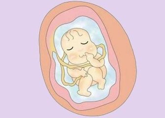 肚子發(fā)硬時，胎兒在干什么？——探索孕期奇妙現(xiàn)象，孕期奇妙現(xiàn)象揭秘，胎兒在肚子發(fā)硬時的活動探究