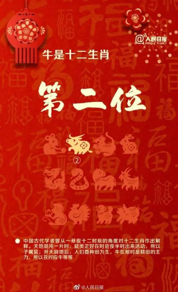 三肖必出特，揭秘預(yù)測(cè)真相與SEO策略，揭秘三肖必出特真相與SEO策略實(shí)戰(zhàn)解析